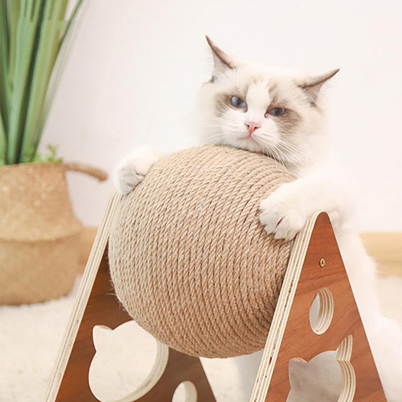 Interactive Cat Scratcher Ball