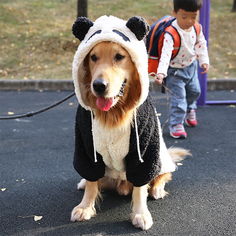 Teddy Bear Sweater