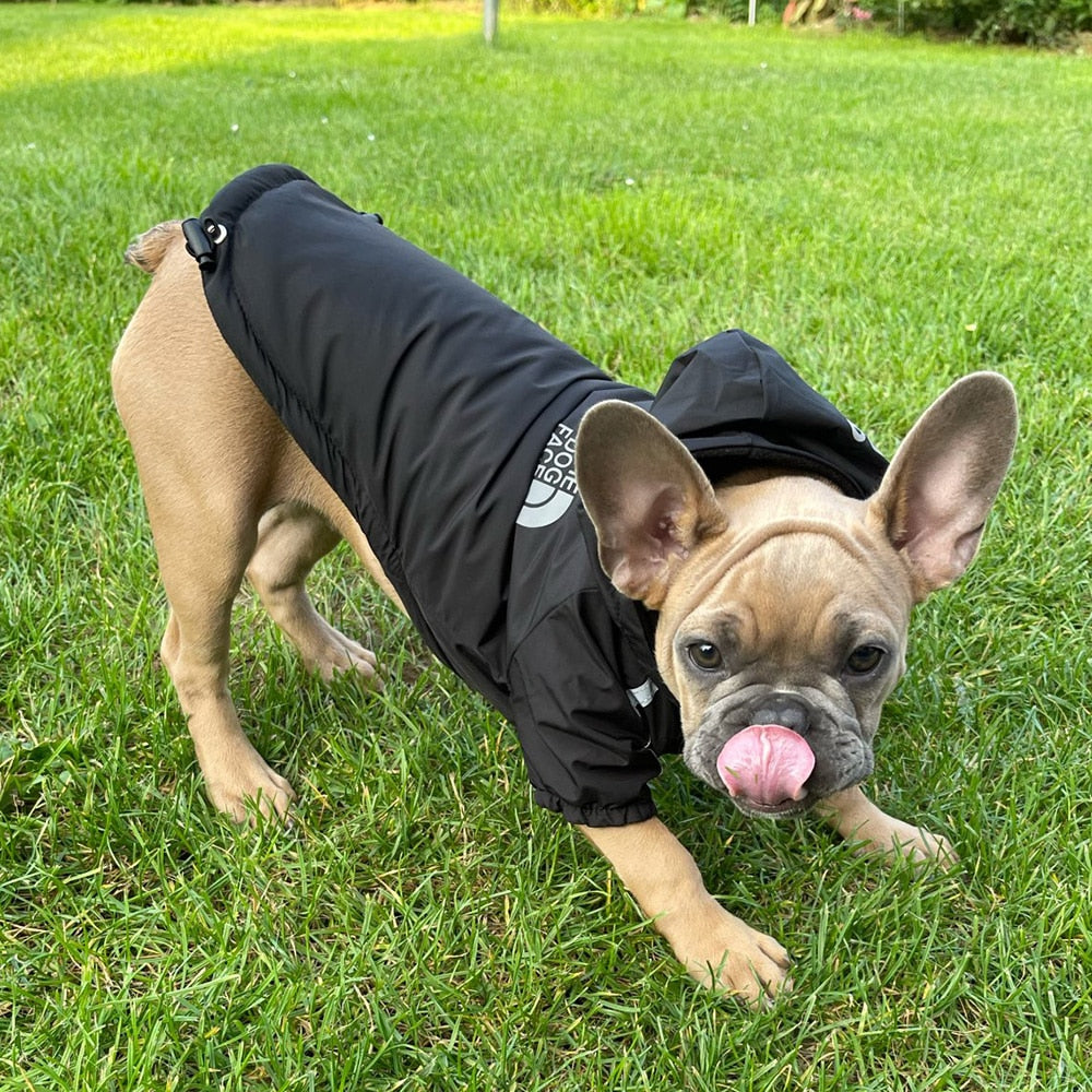 Pet Dog Coat - The Dog Face