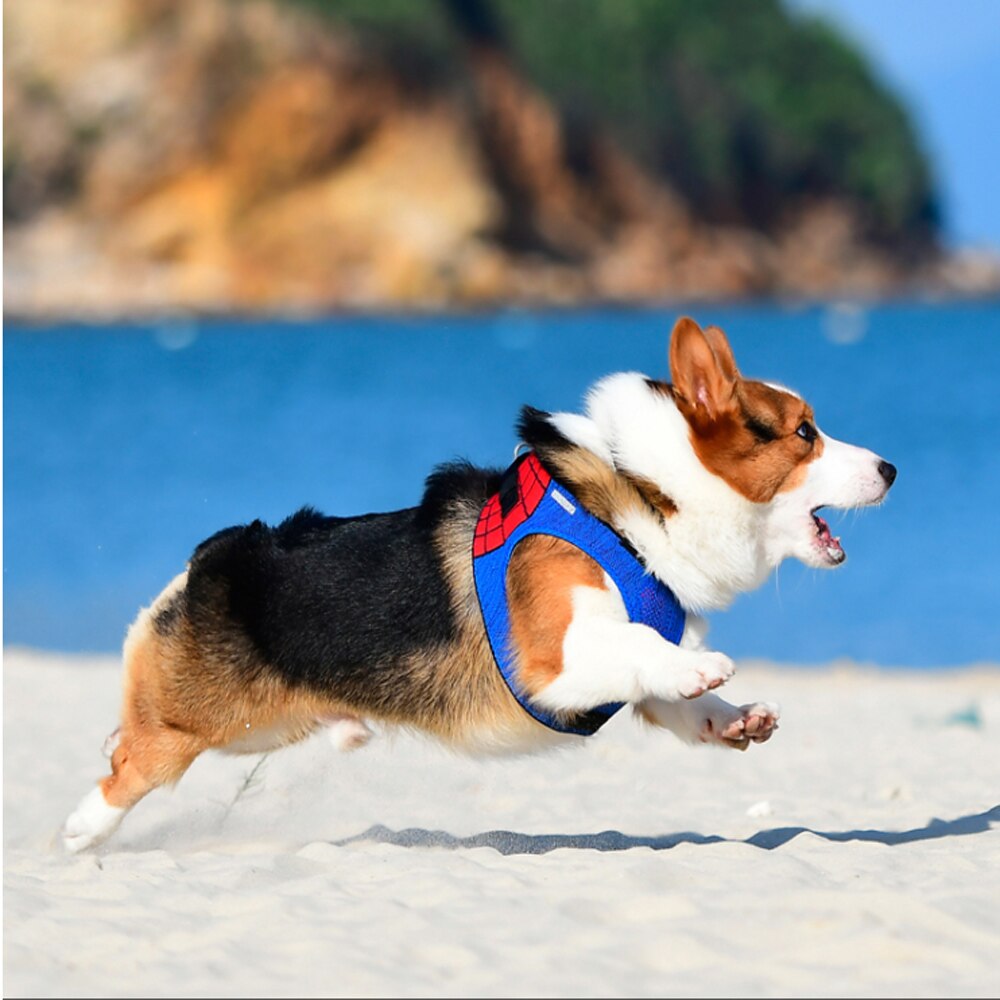 Superhero Series Dog/Cat Adjustable Harness