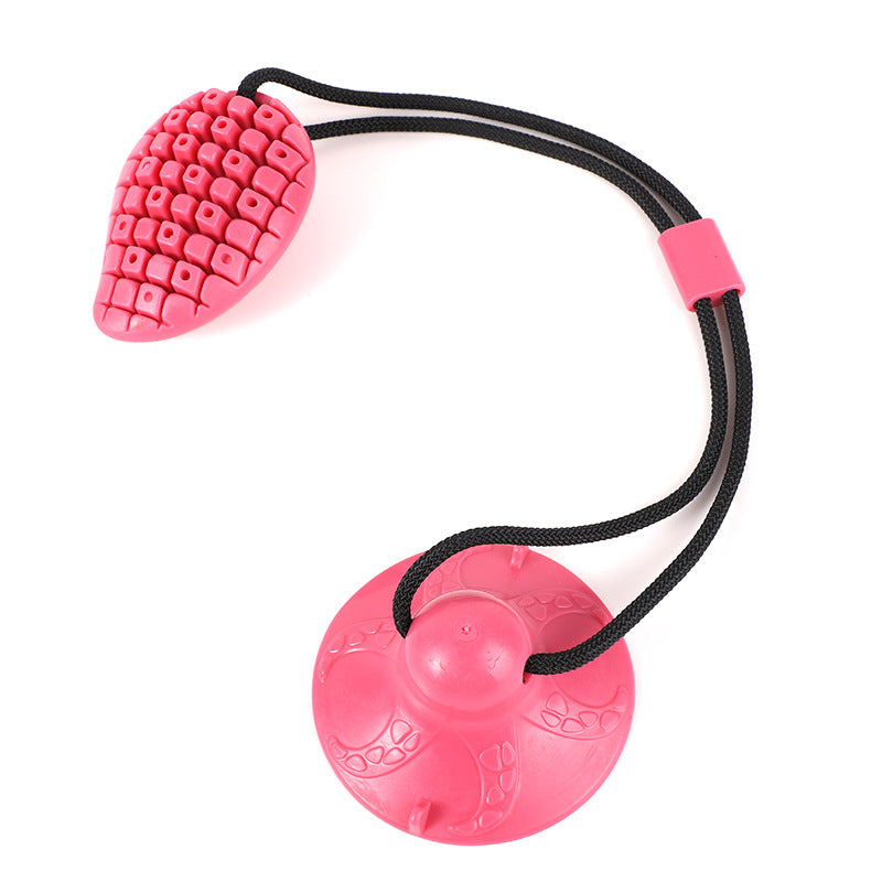 Suction Cup Chew Toy