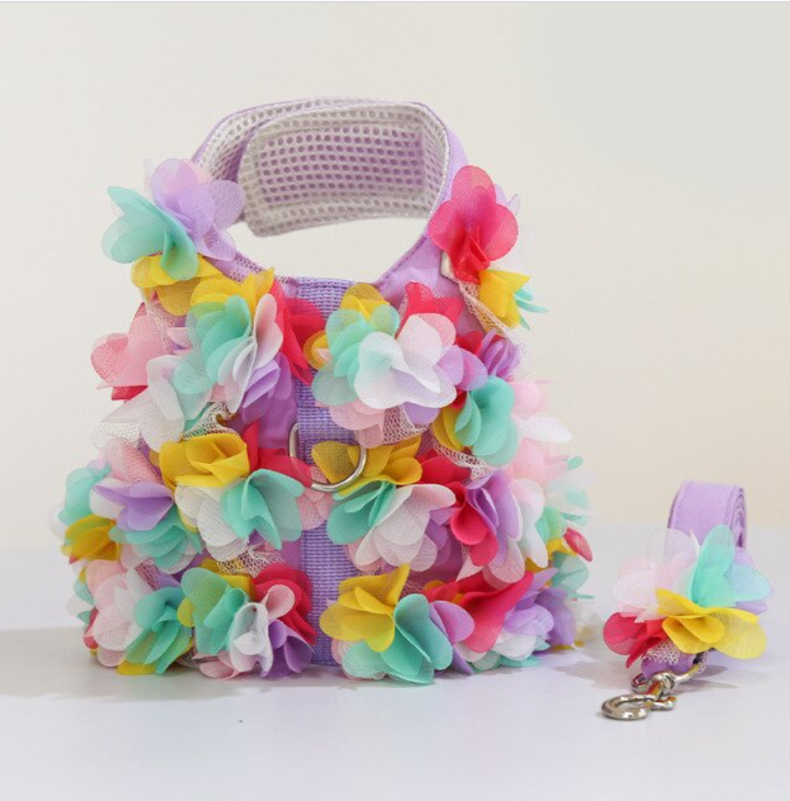 Fashionable Pet Harness