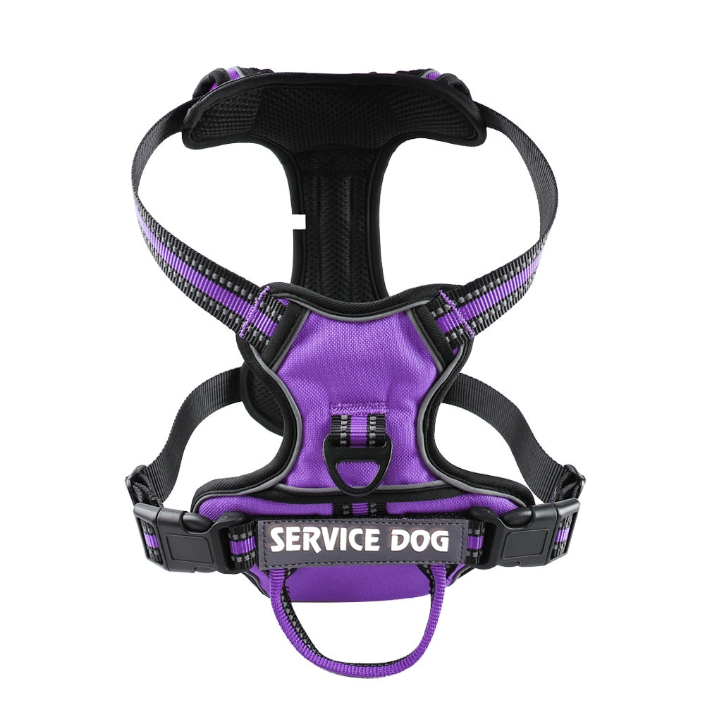 Nylon Adjustable Dog Harness