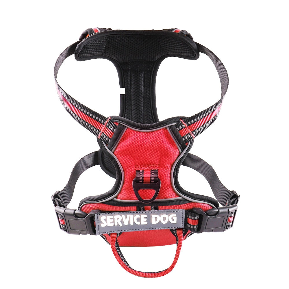 Nylon Adjustable Dog Harness