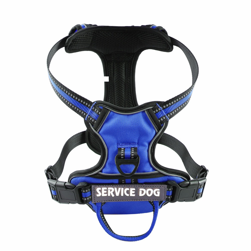 Nylon Adjustable Dog Harness