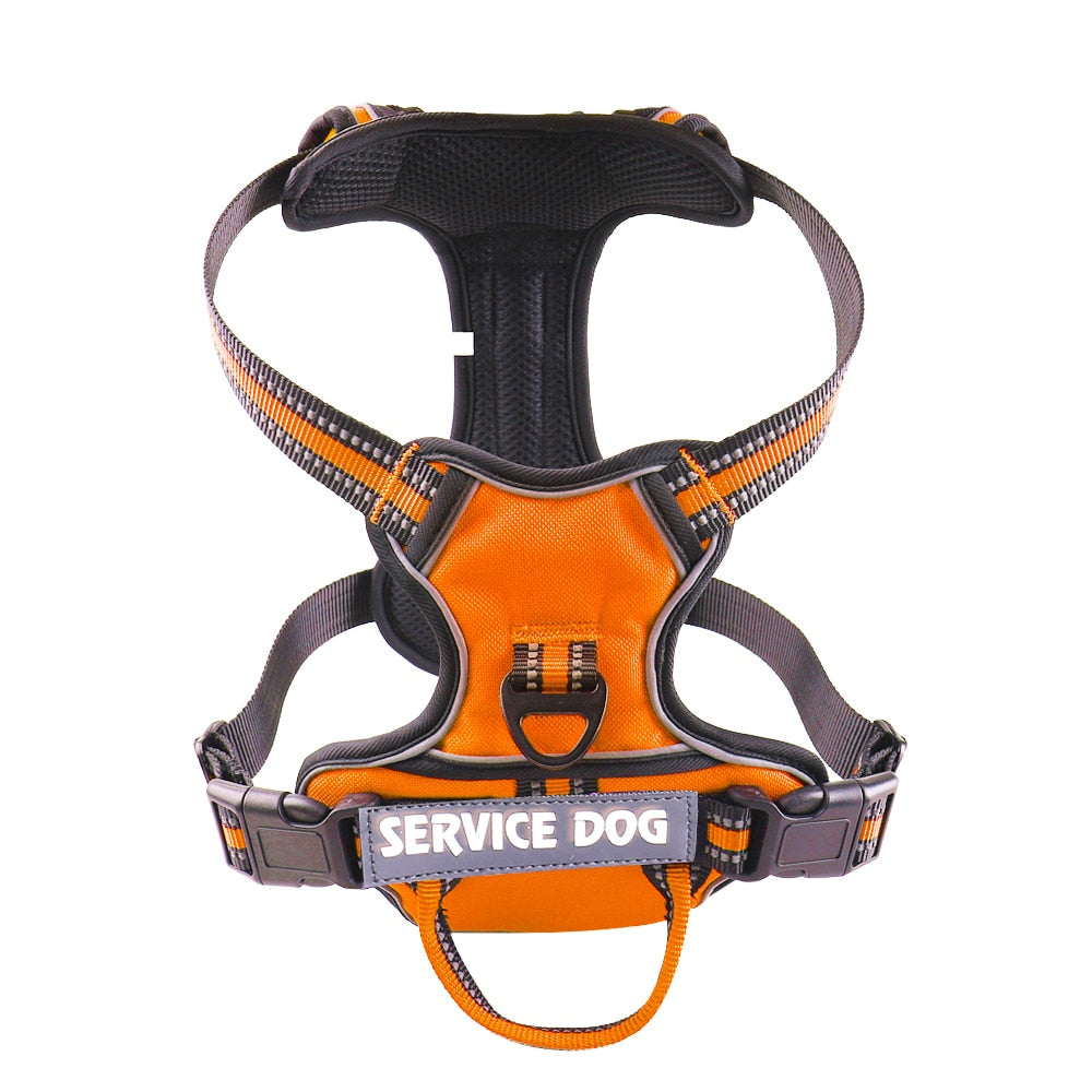 Nylon Adjustable Dog Harness