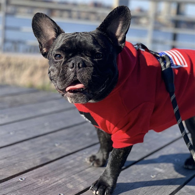 Flag Style Pet Hoodie