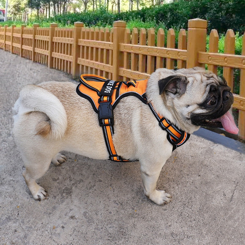 Nylon Adjustable Dog Harness
