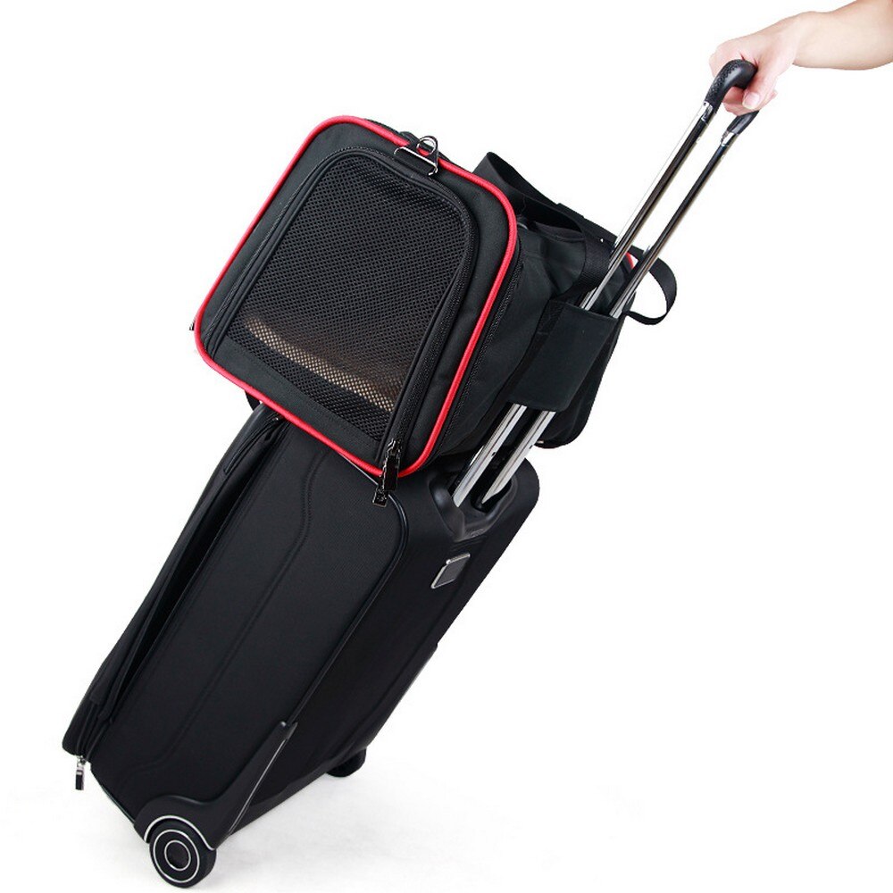 Expandable Pet Carrier