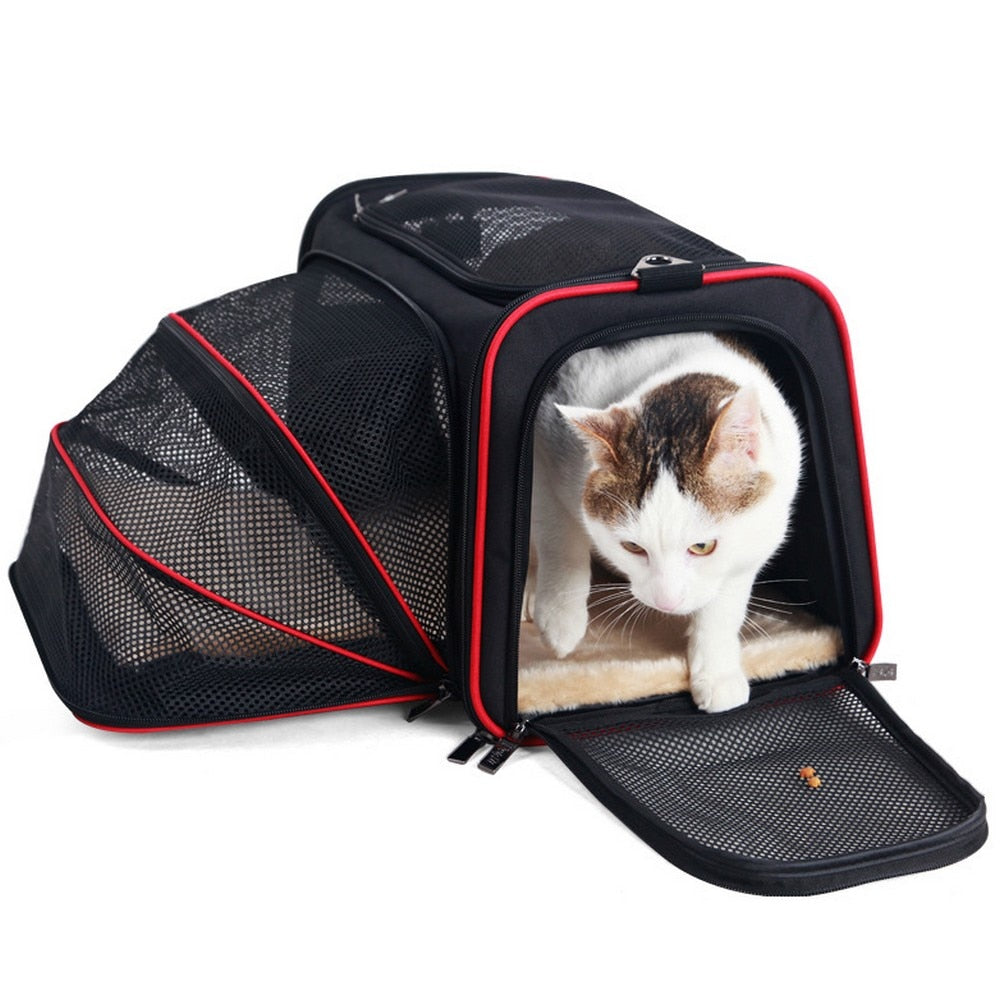 Expandable Pet Carrier