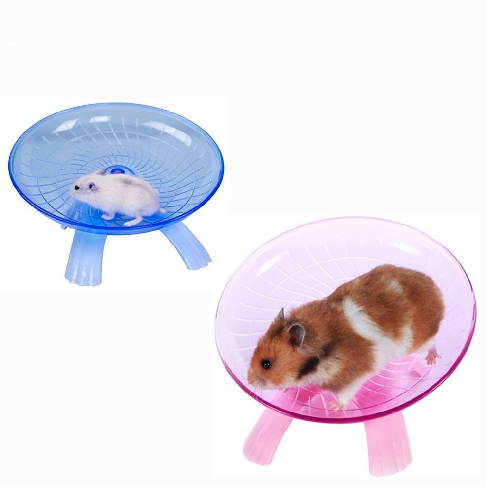 Small Animal Exercise Disc