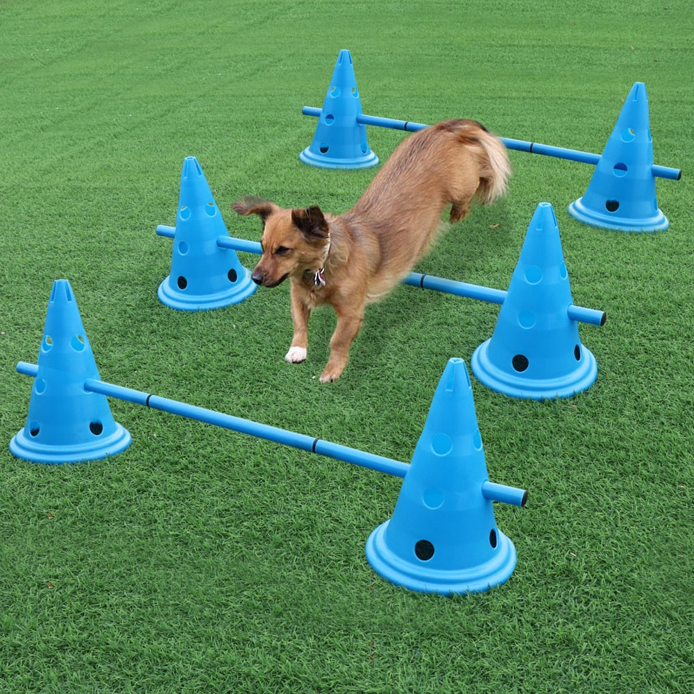 Training/Outdoor Pet Agility Equipment