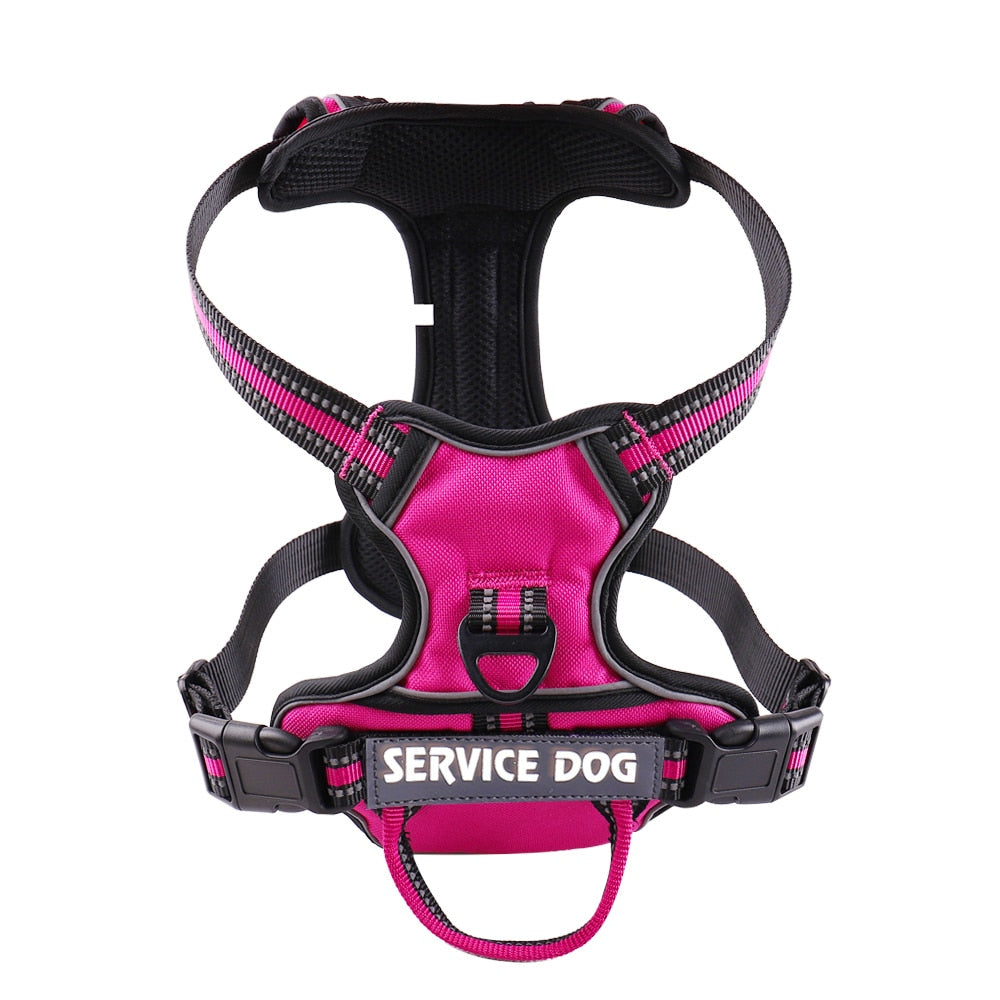 Nylon Adjustable Dog Harness