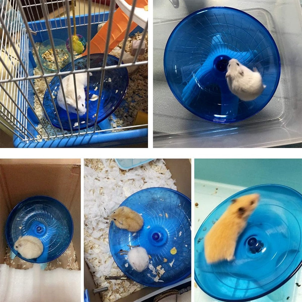 Small Animal Exercise Disc