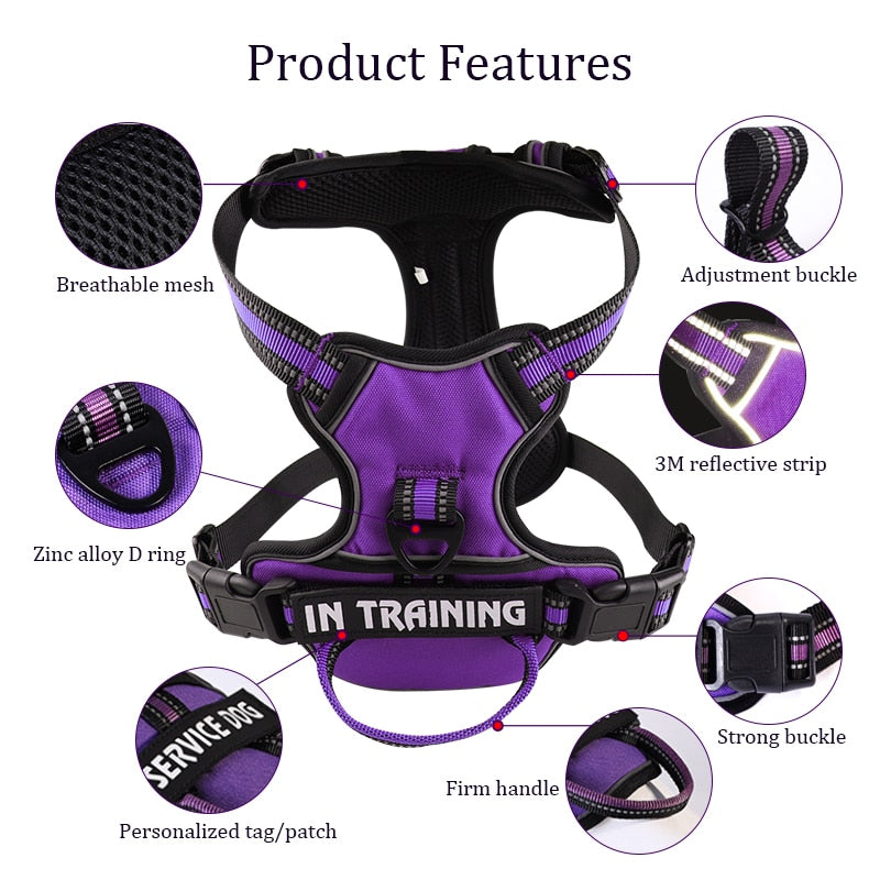 Nylon Adjustable Dog Harness