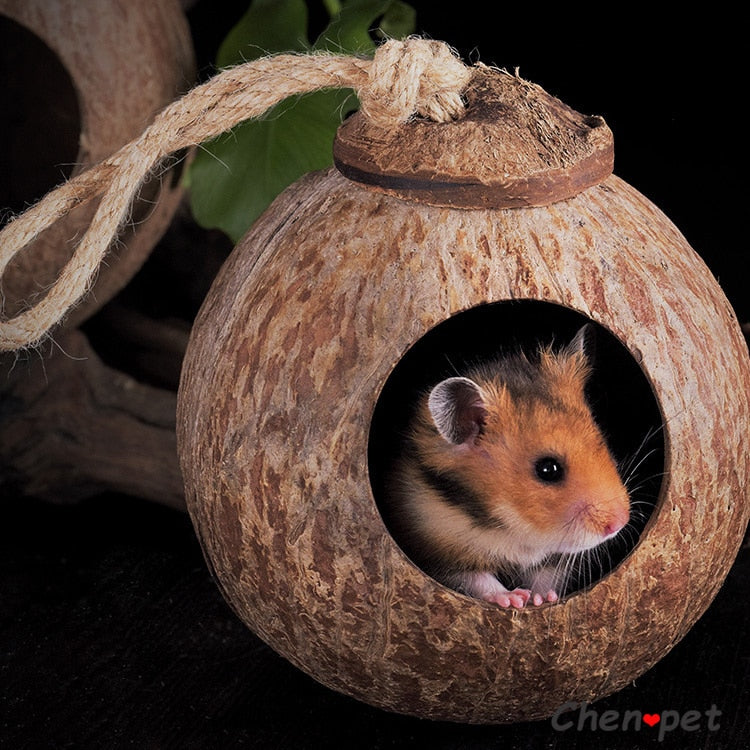 Small Pet Coconut House