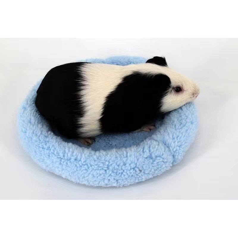 Small Pet Coconut House