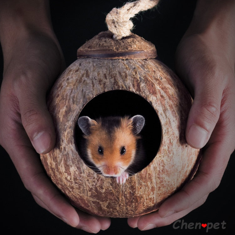 Small Pet Coconut House