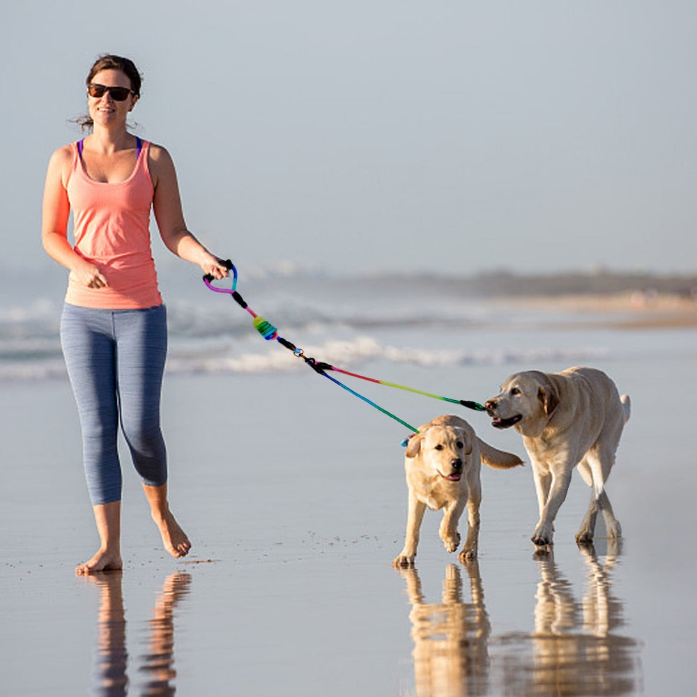 New Rainbow Multi Dog Leash