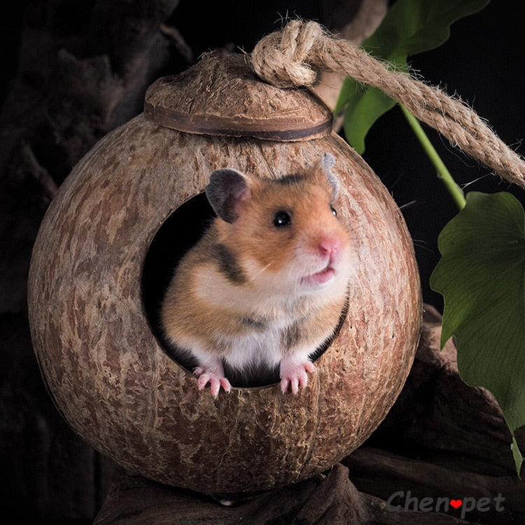 Small Pet Coconut House