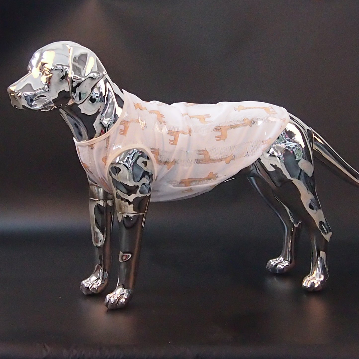 Playful Dog Shirt