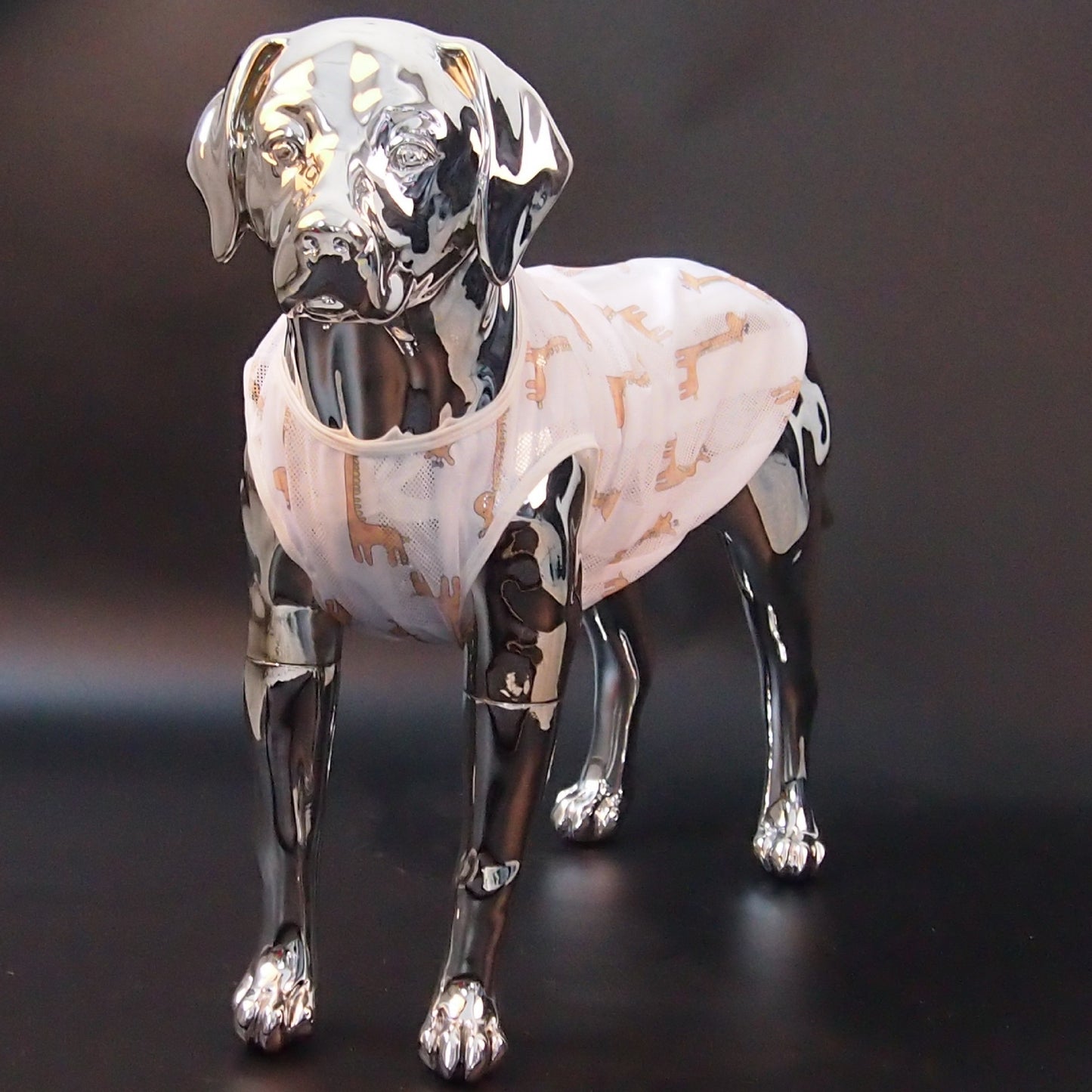 Playful Dog Shirt