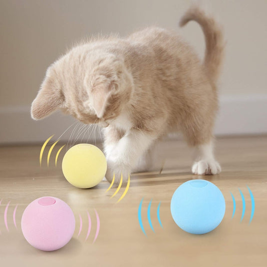 Interactive Catnip Ball