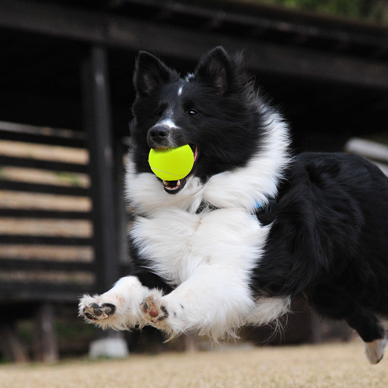 Silicone Tennis Ball