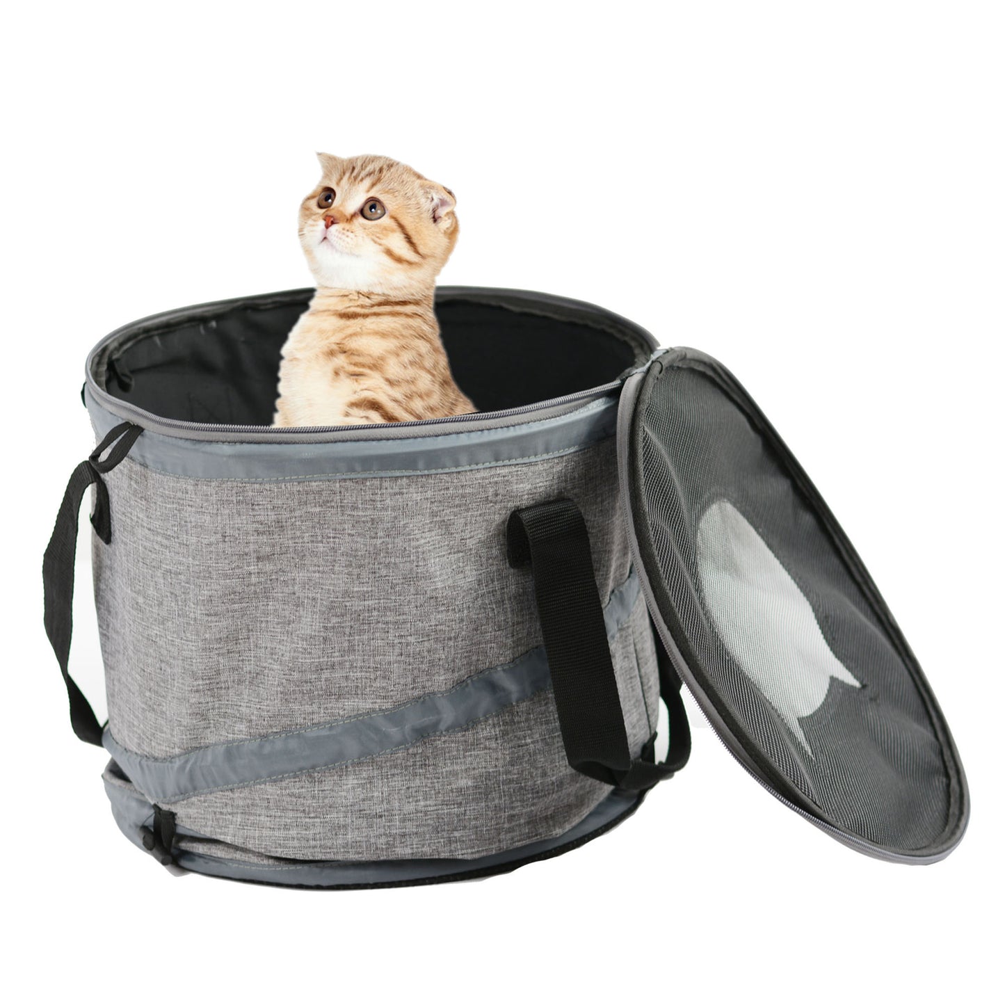 Multifunctional Cat Carrier