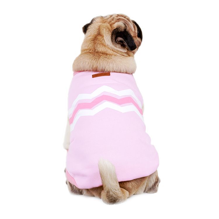 Stylish Pet Sweater