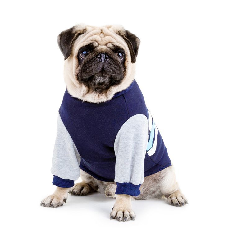 Stylish Pet Sweater