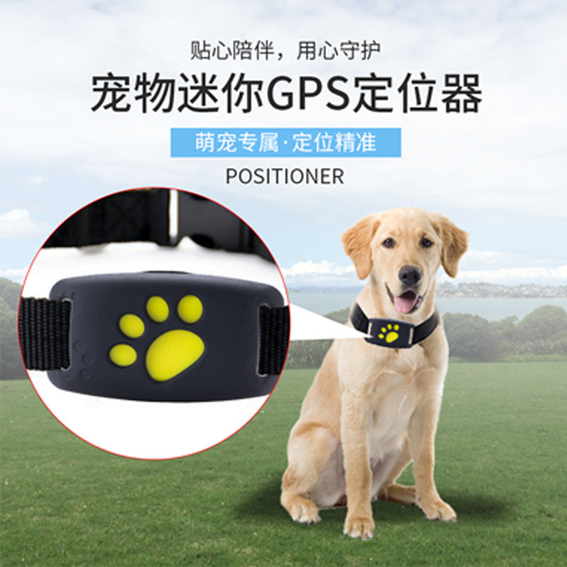 Dog GPS Tracker