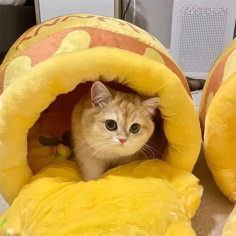 Honey Jar Pet Bed