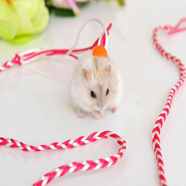 Hand-Woven Small Pet Dual-Purpose Traction Rope