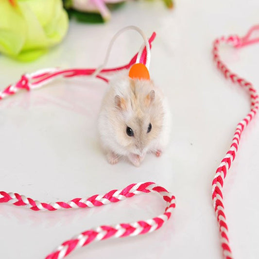 Hand-Woven Small Pet Dual-Purpose Traction Rope