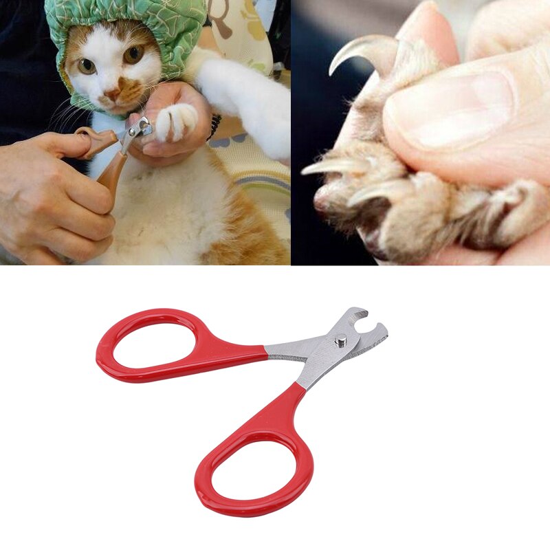 1PC Nail Grooming Scissors