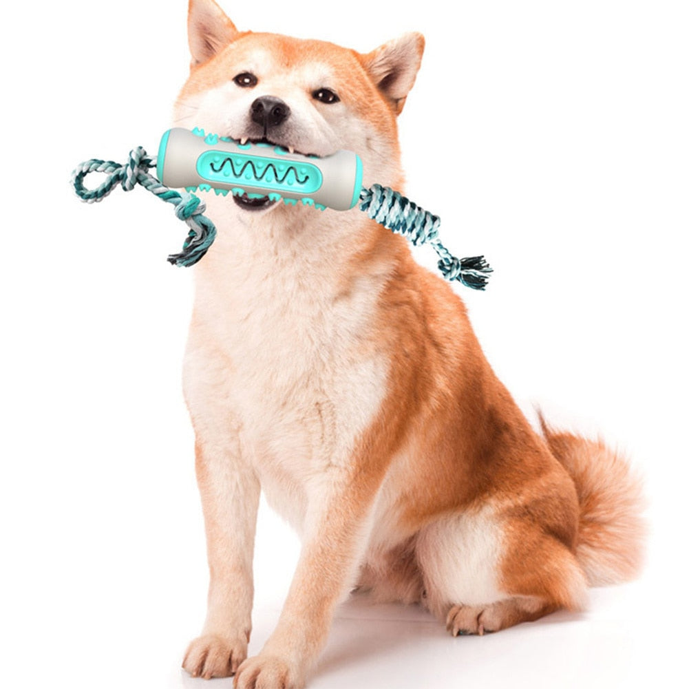 Pet ToothBrush/Chew Toy