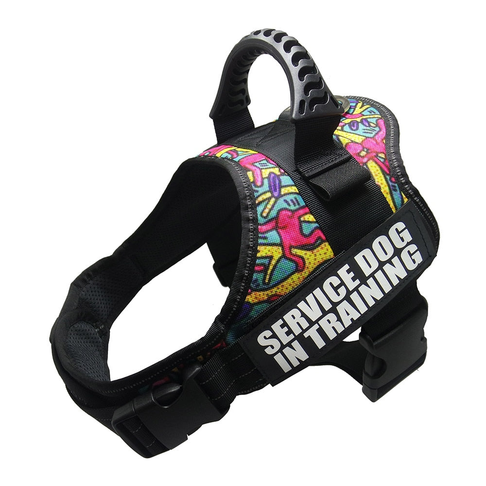 Reflective Dog Harness and Leash