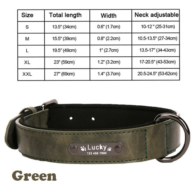 Personalized Leather Dog Collar and Leash