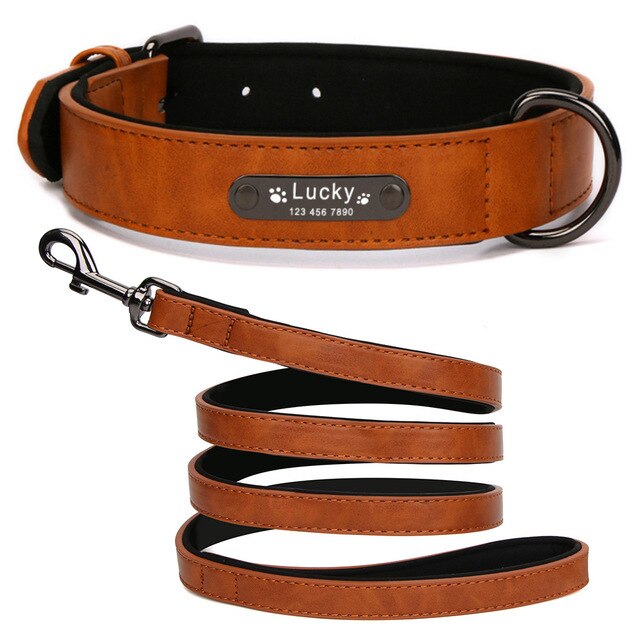 Personalized Leather Dog Collar and Leash