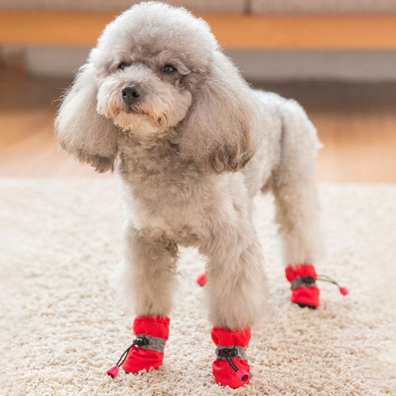 4pcs Antiskid Dog Shoes