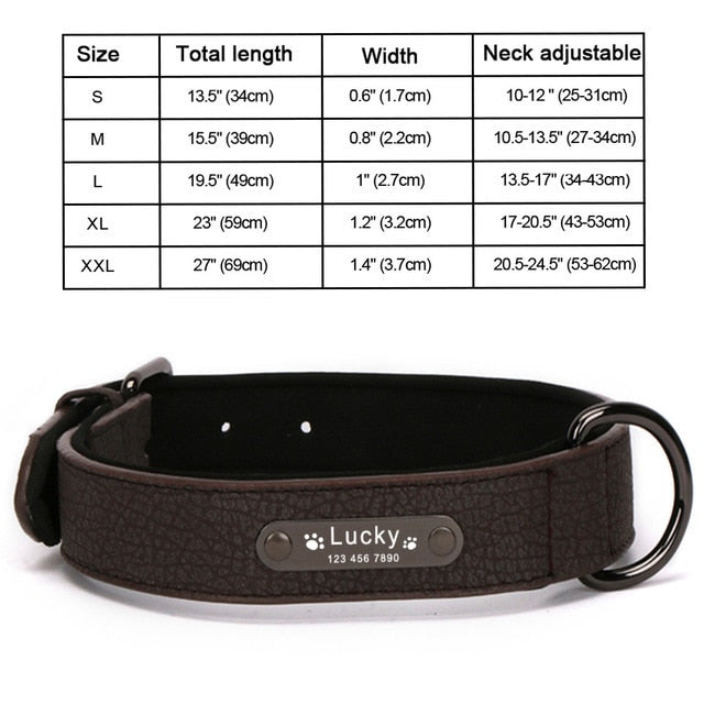 Personalized Leather Dog Collar and Leash