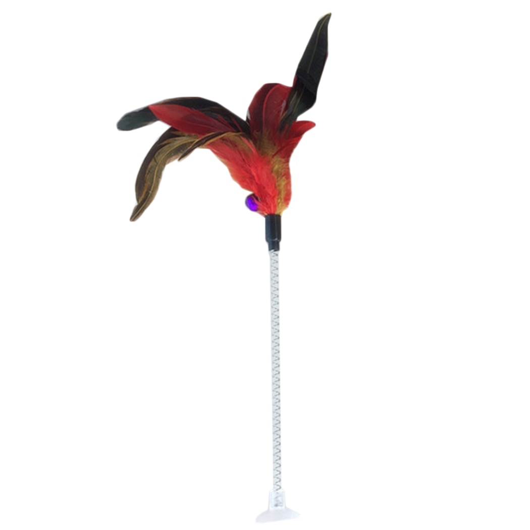 Feather Wand Toy
