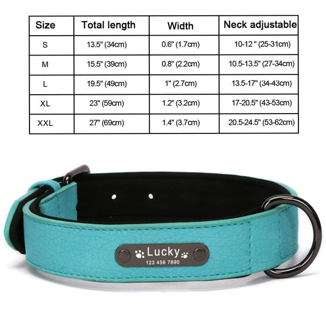 Personalized Leather Dog Collar and Leash