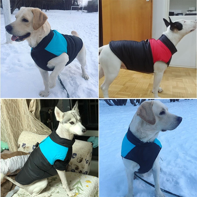 Warm Waterproof Pet Padded Vest