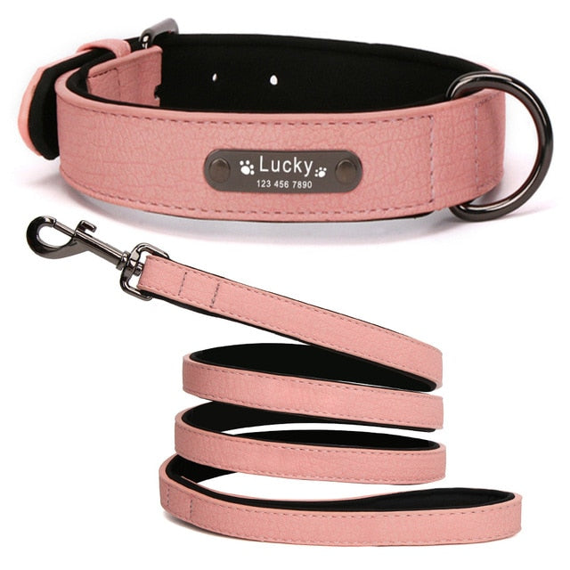 Personalized Leather Dog Collar and Leash