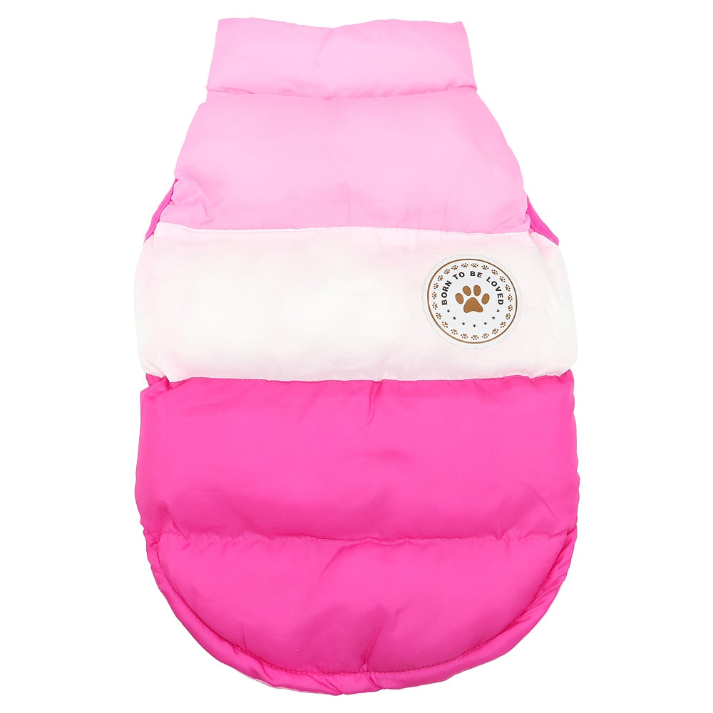 Warm Winter Dog Coat