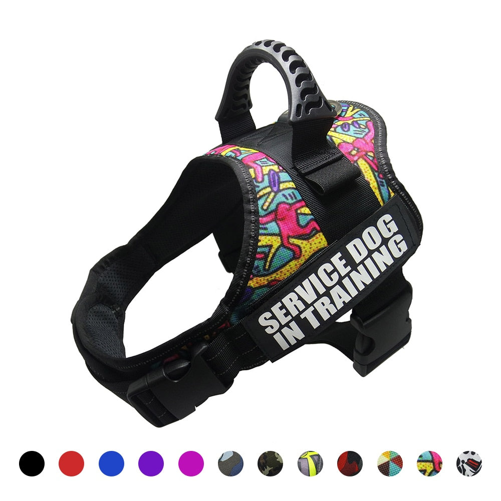 Reflective Dog Harness and Leash