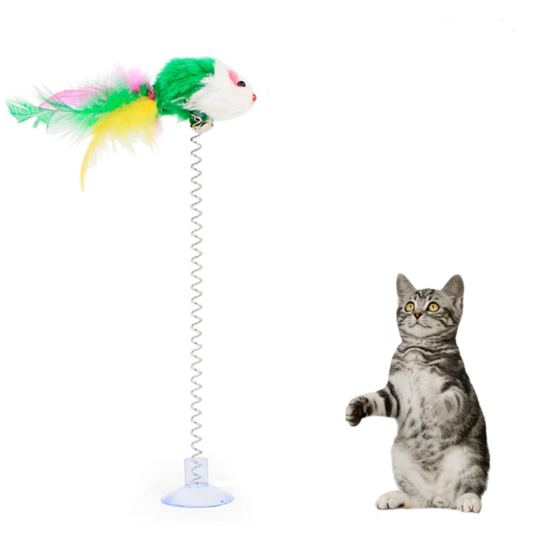Feather Wand Toy
