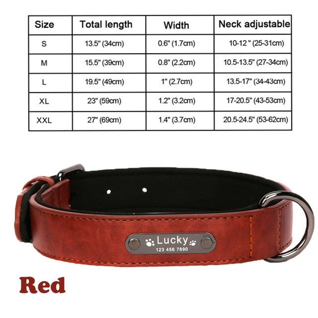 Personalized Leather Dog Collar and Leash